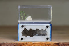 Mini Hearth (Dark Blue 9542)