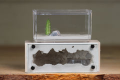 Mini Hearth XL (Bone 9228)
