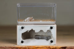 Mini Hearth (Bone 9579)
