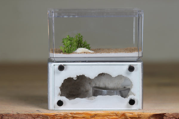 Mini Hearth (Silver 9588)