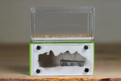 Mini Hearth (Lime 9593)