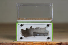 Mini Hearth (Lime 9594)