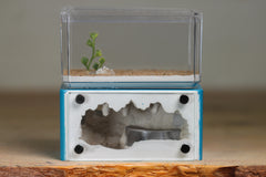 Mini Hearth (Aqua Blue 9596)