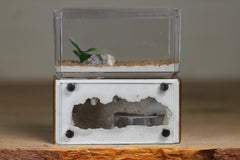 Mini Hearth (Gold 9601)