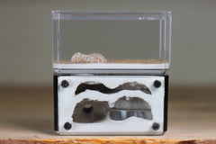 Mini Hearth, Bifurcated (Black 700)