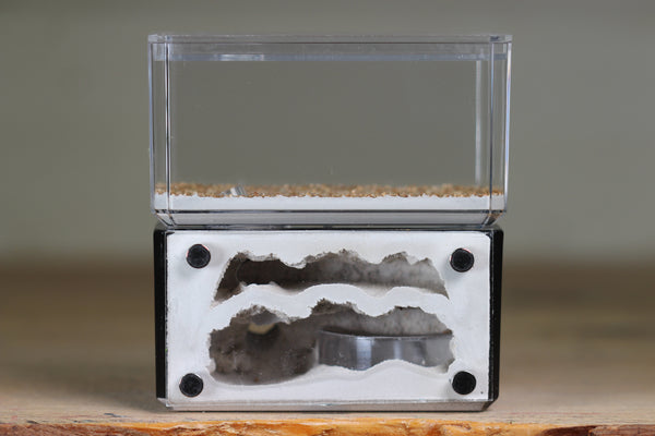 Mini Hearth, Bifurcated (Black 702)