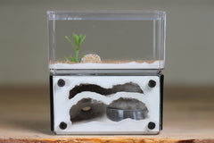 Mini Hearth, Bifurcated (Black 703)