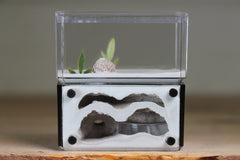 Mini Hearth, Bifurcated (Black 705)