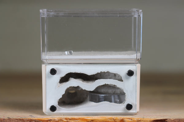 Mini Hearth, Bifurcated (Bone 709)