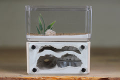 Mini Hearth, Bifurcated (Bone 710)