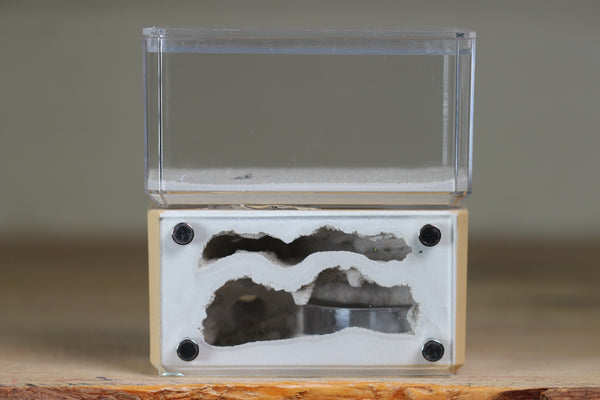 Mini Hearth, Bifurcated (Beige 717)