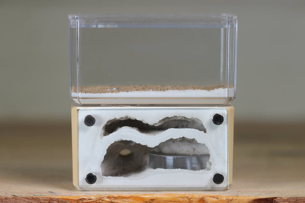 Mini Hearth, Bifurcated (Beige 718)