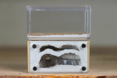 Mini Hearth, Bifurcated (Beige 718)