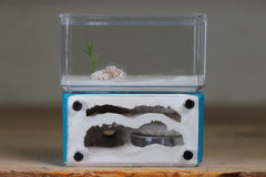 Mini Hearth, Bifurcated (Aqua Blue 720)