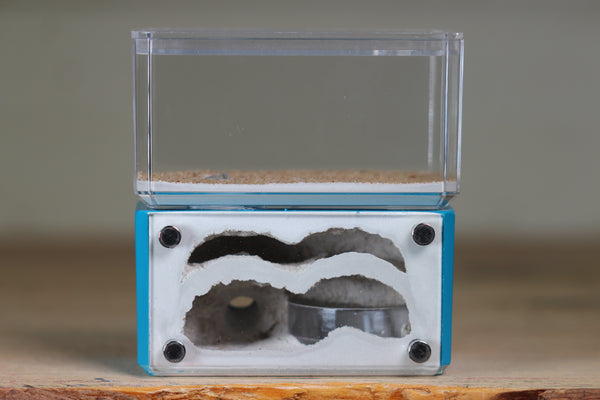 Mini Hearth, Bifurcated (Aqua Blue 721)