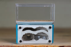 Mini Hearth, Bifurcated (Aqua Blue 721)