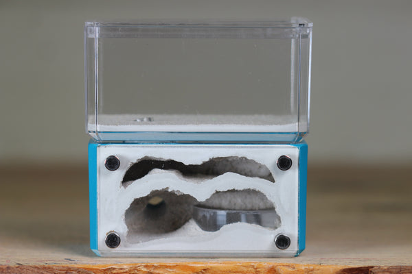 Mini Hearth, Bifurcated (Aqua Blue 722)