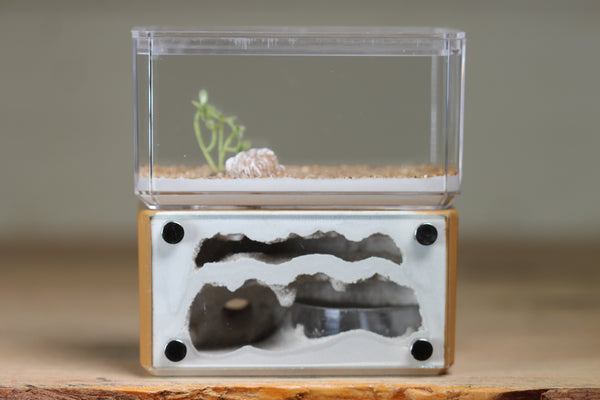 Mini Hearth, Bifurcated (Brown 724)