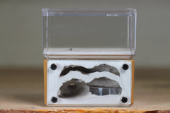Mini Hearth, Bifurcated (Brown 726)