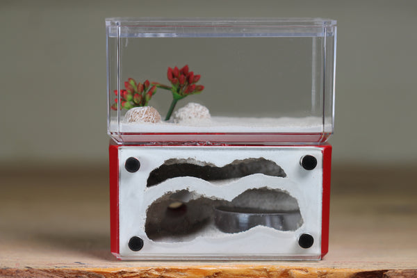 Mini Hearth, Bifurcated (Red 728)