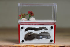 Mini Hearth, Bifurcated (Red 728)