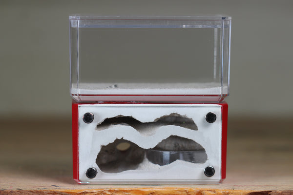 Mini Hearth, Bifurcated (Red 729)