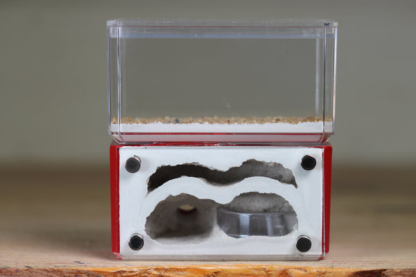 Mini Hearth, Bifurcated (Red 730)