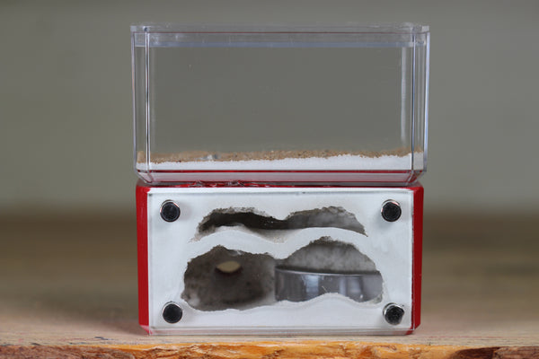 Mini Hearth, Bifurcated (Red 731)