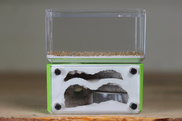 Mini Hearth, Bifurcated (Lime 732)