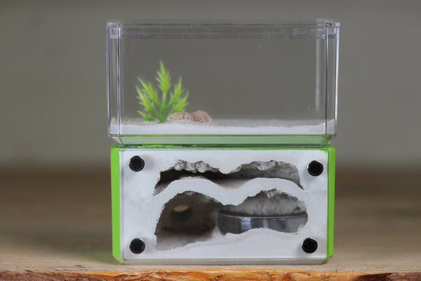 Mini Hearth, Bifurcated (Lime 733)