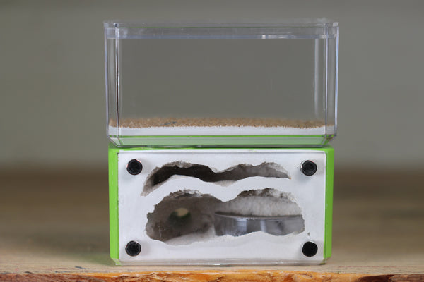 Mini Hearth, Bifurcated (Lime 734)