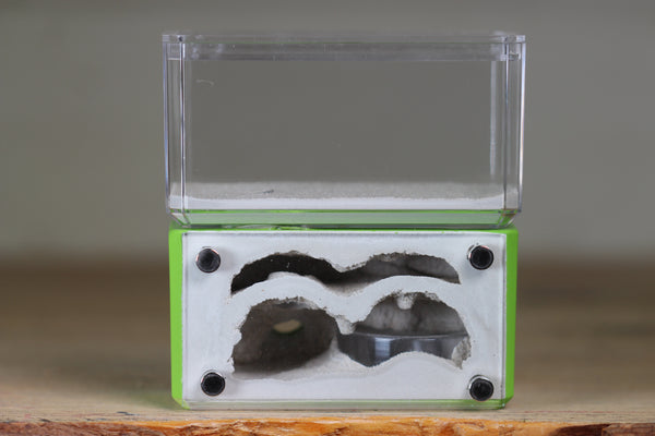 Mini Hearth, Bifurcated (Lime 735)