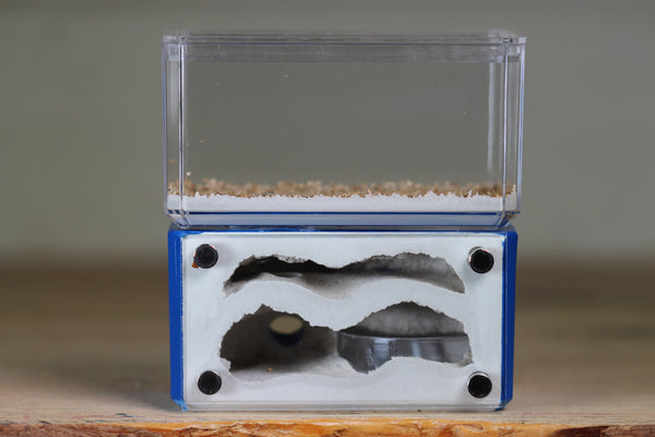 Mini Hearth, Bifurcated (Dark Blue 739)