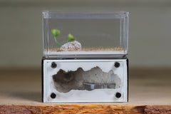 Mini Hearth (Black 8000)