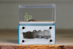 Mini Hearth (Aqua Blue 8005)