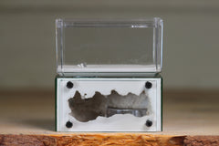 Mini Hearth (Dark Green 8010)
