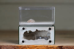 Mini Hearth (Dark Green 8011)