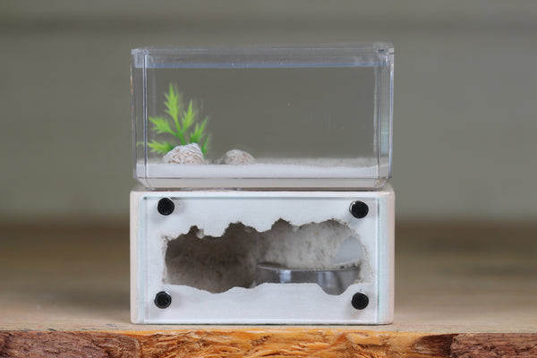 Mini Hearth (Bone 8007)