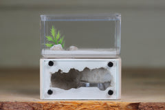Mini Hearth (Bone 8007)