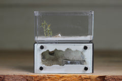 Mini Hearth (Grey 8014)