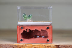 Mini Hearth (Red 8015)