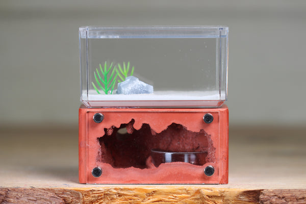 Mini Hearth (Red 8016)