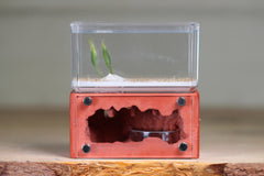 Mini Hearth (Red 8017)