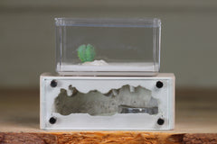 Mini Hearth XL (Bone 9306)
