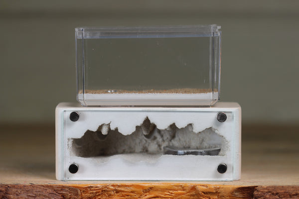 Mini Hearth XL (Bone 9308)
