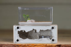 Mini Hearth XL (Bone 9309)