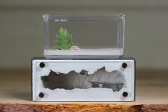 Mini Hearth XL (Grey 9311)