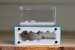 Mini Hearth XL (Aqua Blue 9315)