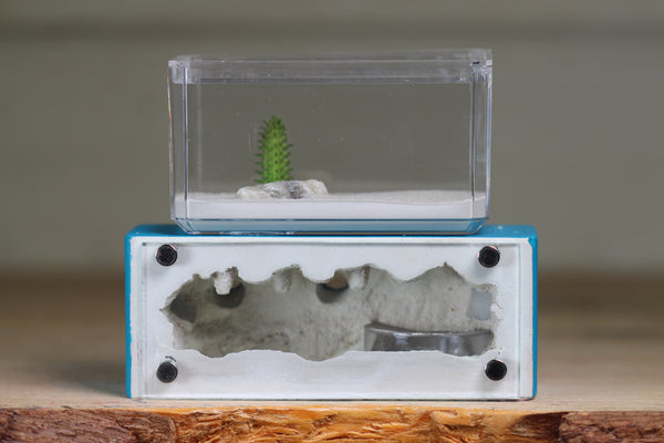 Mini Hearth XL (Aqua Blue 9316)