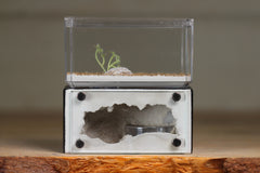 Mini Hearth (Black 8051)